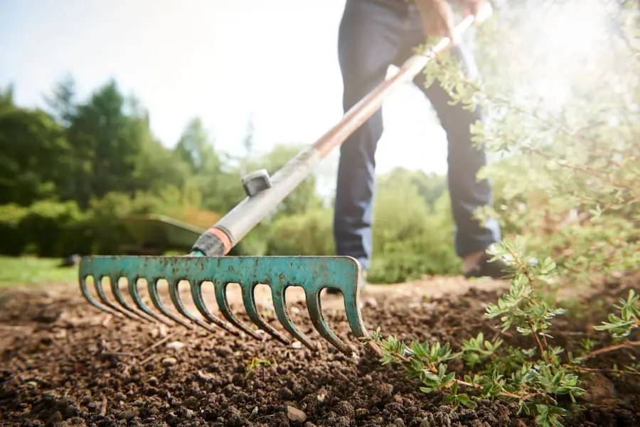 Aménagement de jardin à Caen