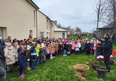 Ecole primaire d'Amfreville