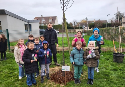 Ecole primaire d'Amfreville