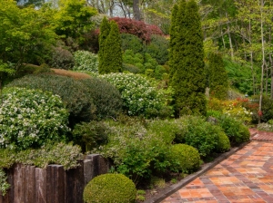 plantation d'arbres et arbustes 