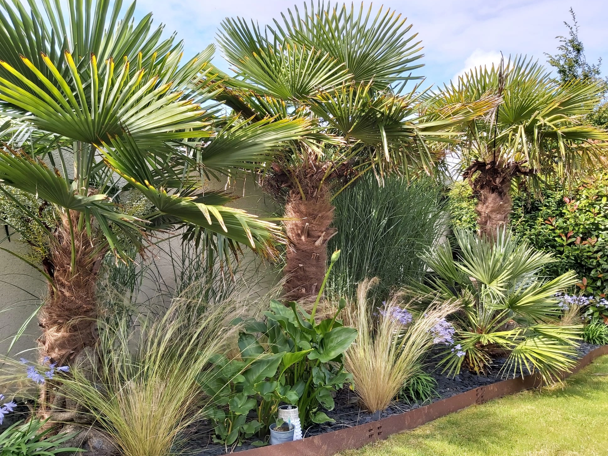  Aménagement de jardin à Lisieux